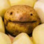 Potato