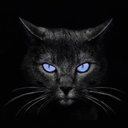 阿尔卑斯山的大象