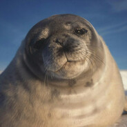 seal