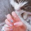yxycatkitty