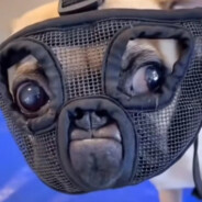 打一个香香软软舒舒服服到翘屌屌的胶