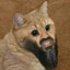 Котдыров