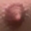 MSTER