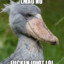 Angery Shoebill