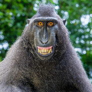 HairyCuNt