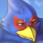 Macro Falco