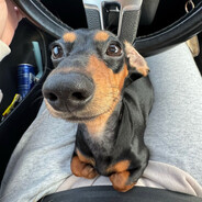 Саня Пистолетов