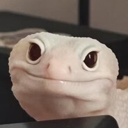 盖好我的小被子