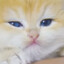 VaL