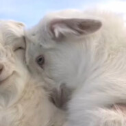 别爆闪到我脸上