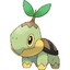 Turtwig gamers