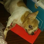 狂暴建建建建建築工