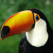 profile