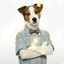 Sheldon Lee Cooper