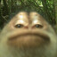 goog