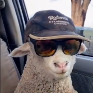 西西米托批发零售