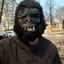 Pёter Pёrkin's avatar