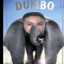 _d0m0k0shhh_
