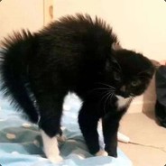 胡萝呗呗呗呗呗呗呗