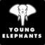 Young Elephants