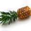 AlergicPineAPPLE