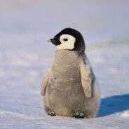 TuxThePenguin