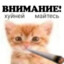 Кубань