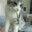 CHATZINHO
