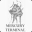 Mercury Terminal