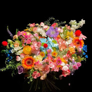 今天我运气好吗