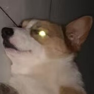 無心