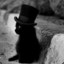 TheCatLover