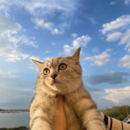 舒克站着开贝吉塔