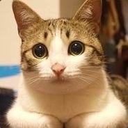 成都市的春风十里