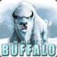 The Great White Buffalo