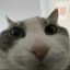 TheGamerek