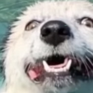 ☜☆☞dan☜☆☞