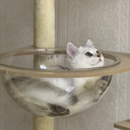 来都来了，吃口饭再走