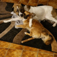 Young Urban Professional