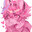 ♡ PaleKitten ♡