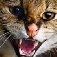 抖抖抖抖抖抖抖抖抖抖