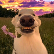 ezas - steam id 76561199088628413