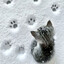 Hello?'s avatar