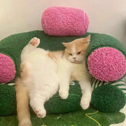 胡萝卜离开地球