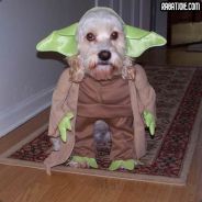 Flogarty - steam id 76561197971711271