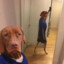 Liron_kaki