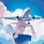 7 号