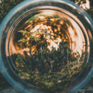 做个有抱负的咸鱼