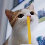 大大大大大岚子