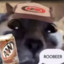 ROOBIER